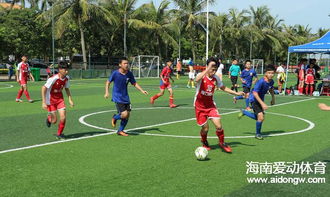 河豚视频app下载安装截图