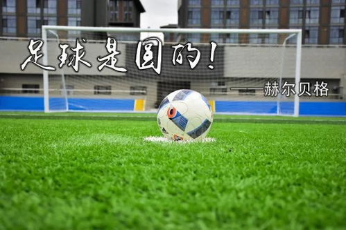 nba直播吧官方下载截图