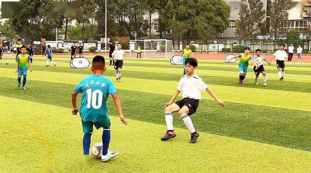 cba免费无插件直播a9截图