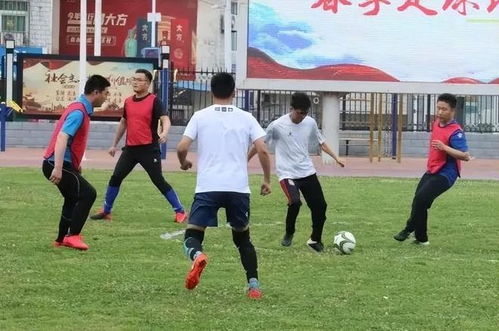 纬来体育手机客户端下载截图